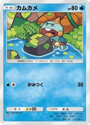 カムカメ