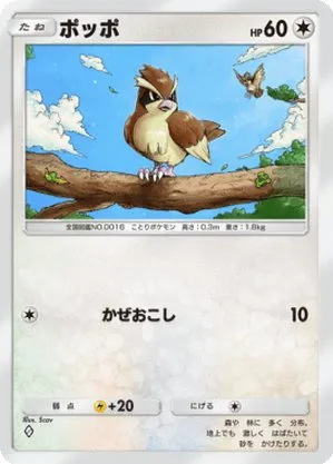 ポッポ