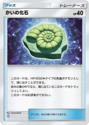かいの化石