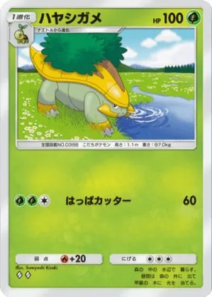 ハヤシガメ