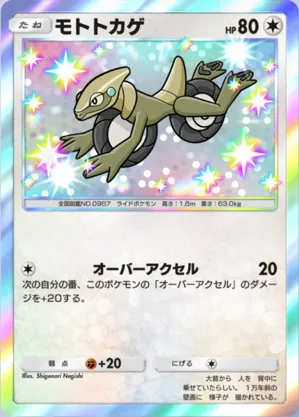 モトトカゲ